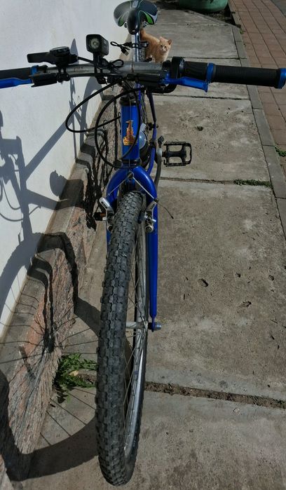 Bicicletă de vânzare