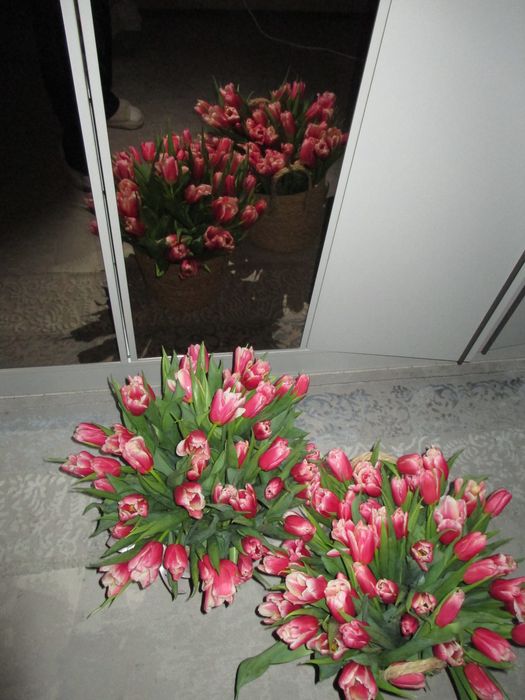 Букет цветов , тюльпаны