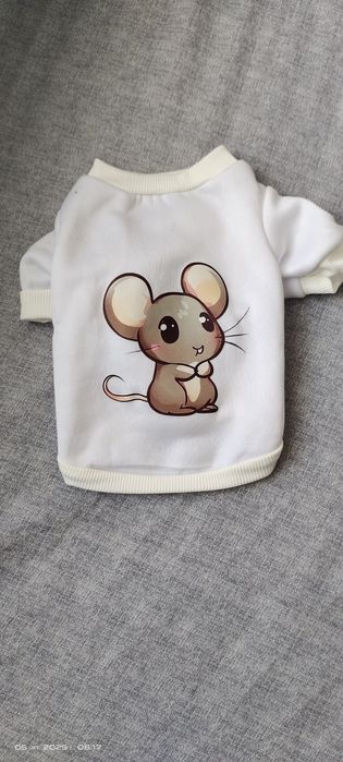 Одежда для собак