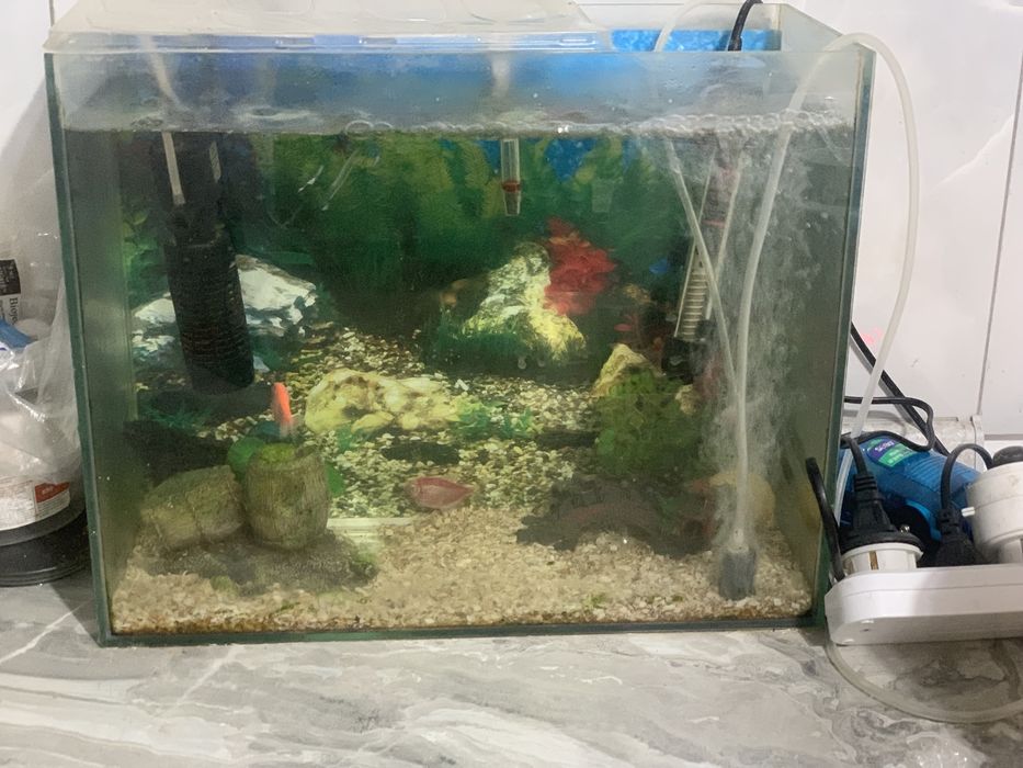 Аквариум 30 литр с рыбками срочно