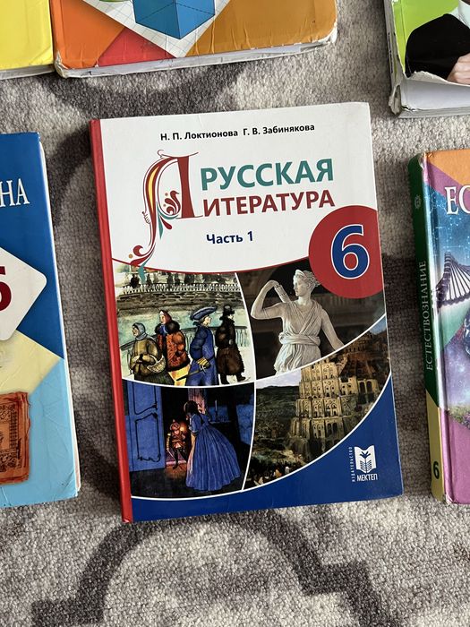книги 6 класс русс