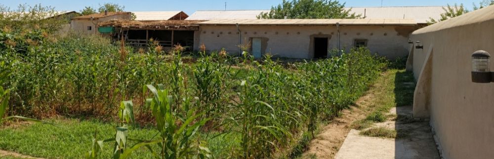 Турар жой сотилади, барча худжатлари жойида, газ свет мавжуд,1