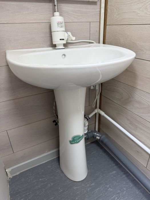 Раковина тюльпан