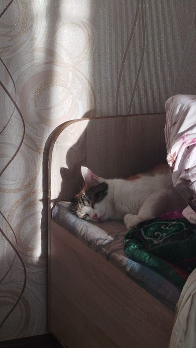 Срочно продам кровать одно местное