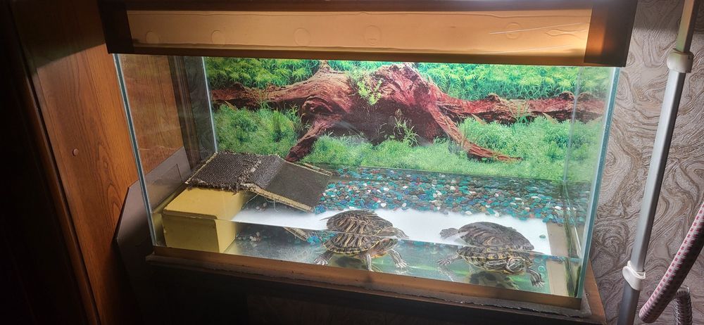 СРОЧНО Продам аквариум объём 100 литров