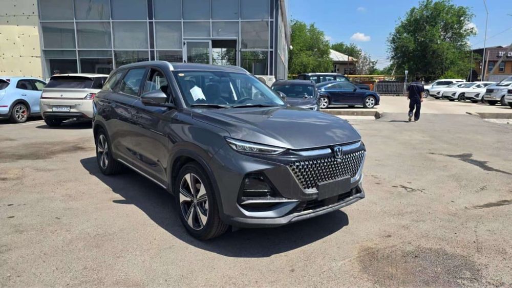 Чанганы без пв в кредит