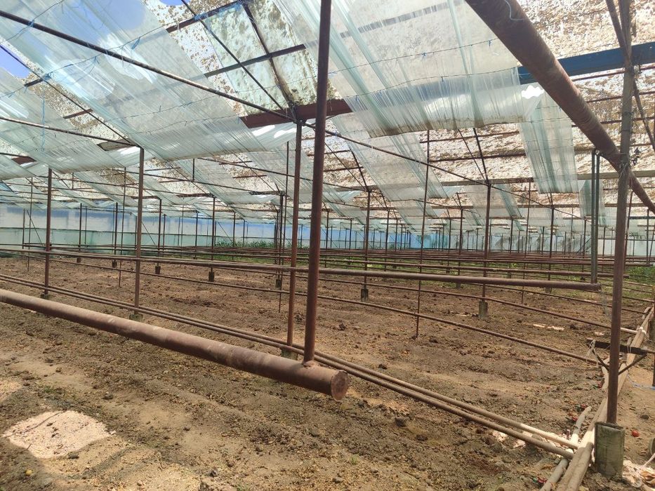 Теплица сотилади