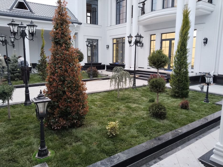 Ландшафтный дизайнер газон хизмати