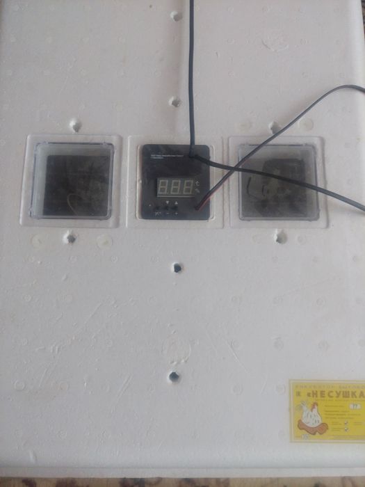 Инкубатор  Инкубатор