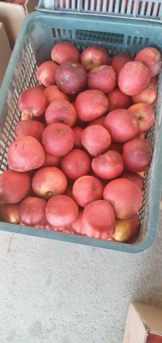 Ҳар хил турдаги олмалар сотилади