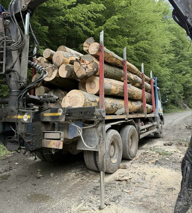 Lemn de Foc Fag !Contra cost se taie si sparg!Cele mai bun preturi !