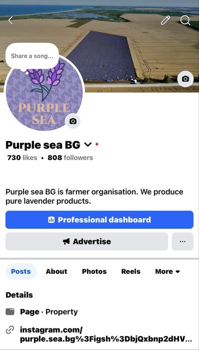 Домашен сироп концентрат от Малини, Мента, Смокини,Мащерка,Маточина