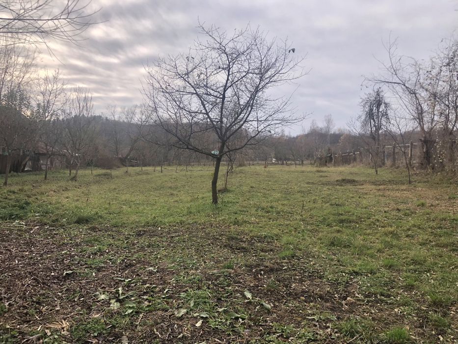 Casa plus anexe 1000 mp