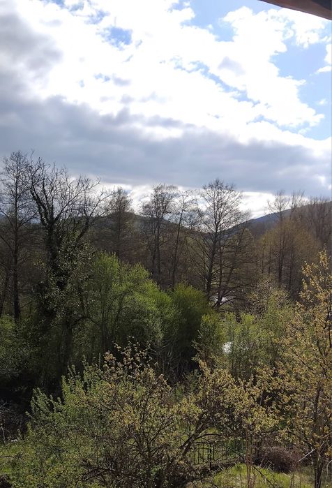 Продава се Къща в с. Пастух, Област Кюстендил - 360 кв.м за 255 €/кв.м - Снимка #7