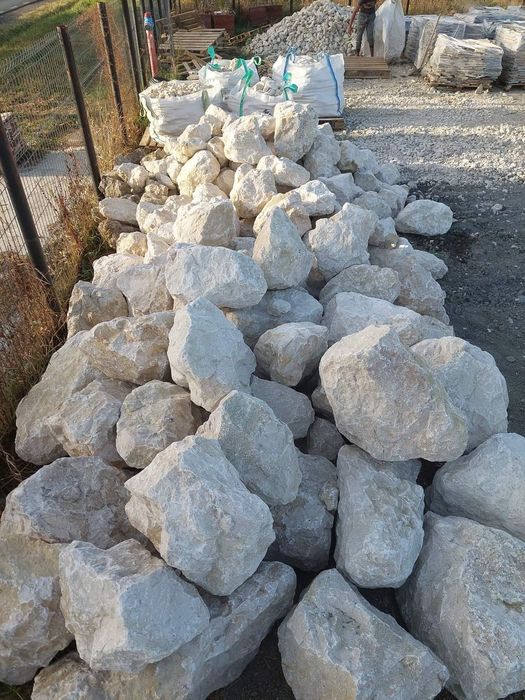 Bolovani ornamentali