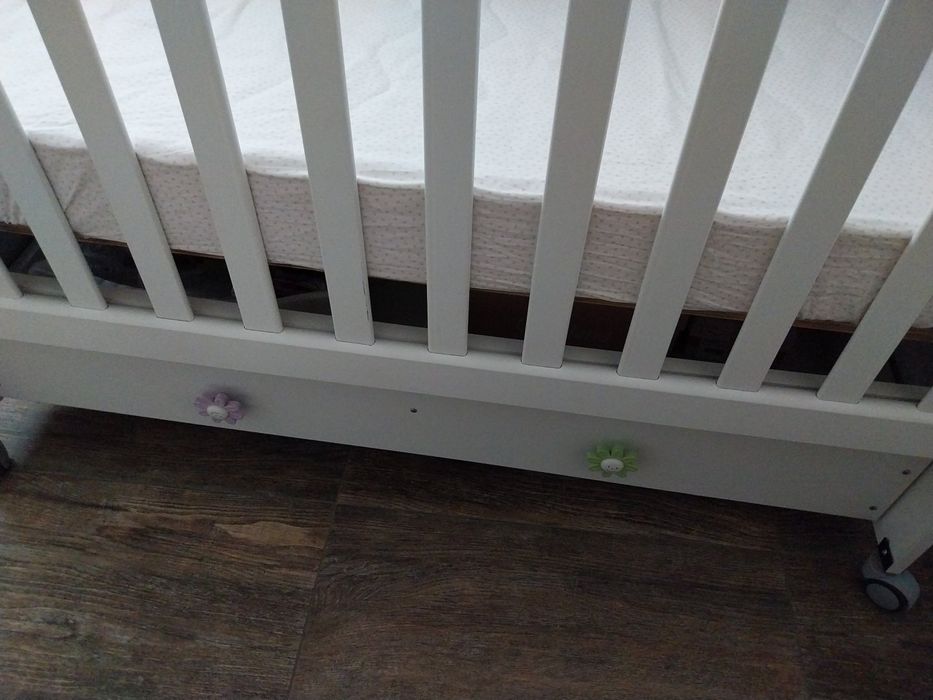 Patut și comanda cu vănita