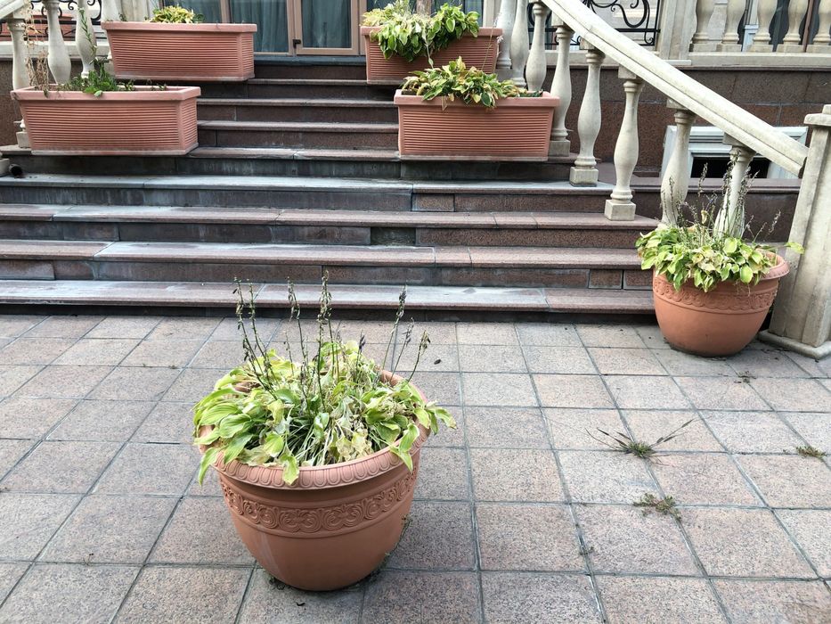 Горшки для цветов