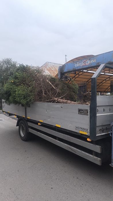 Манипулятор услуги