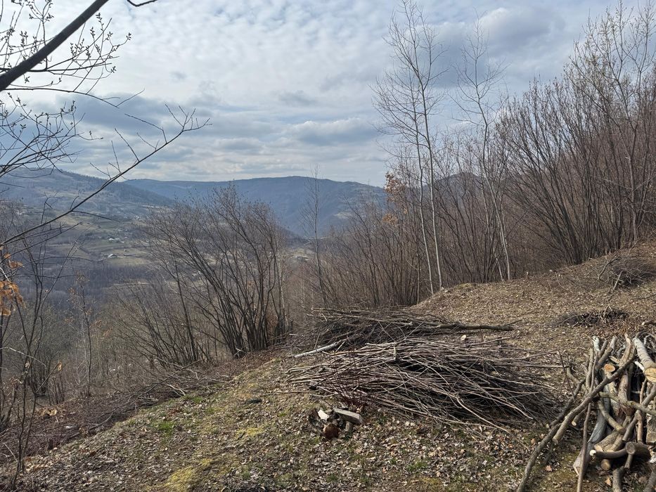 Teren Muntele Rece, ideal pentru cabana, zonă frumoasă, acces ușor