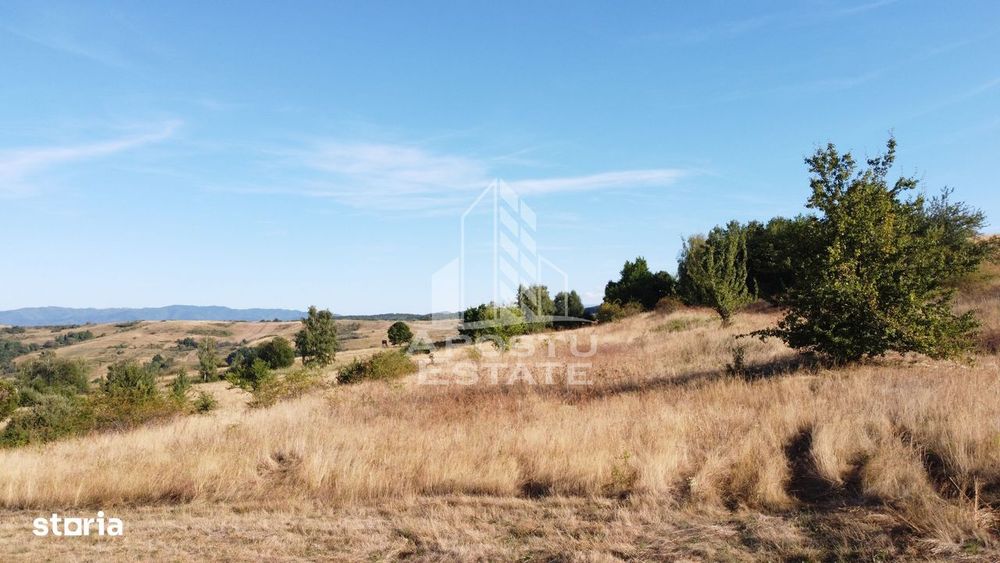 Teren de 50.000mp, priveliste panoramica spre munte si lac, Hunedoara