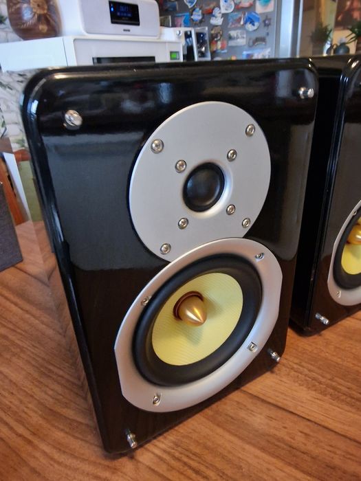 Boxe audio de top,Dantax Pro1,sunet de exceptie,2x80w,in 8 Ohm