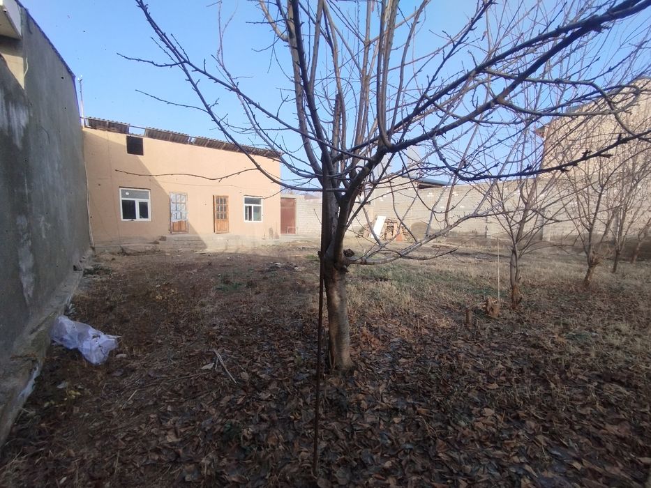 Shiriboomda uy sotiladi 5 soʻtix