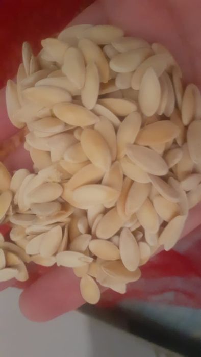 Семена Дыни сорт бакинка