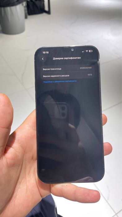 iPhone 12 pro max