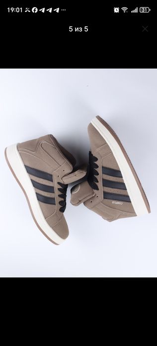 Кампусы высокие. Сезон :Осень - Зима