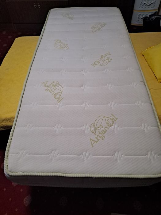 Масивно легло чам