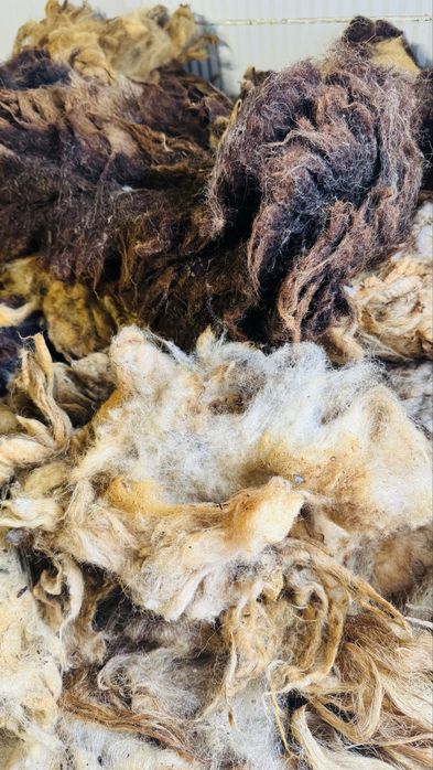 Peleți din lână de oaie îngrășământ