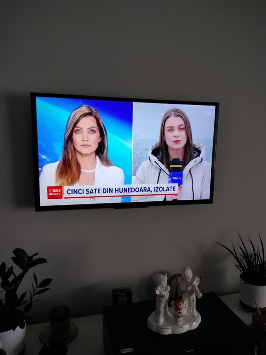 Smart TV (non Smart Netflix)