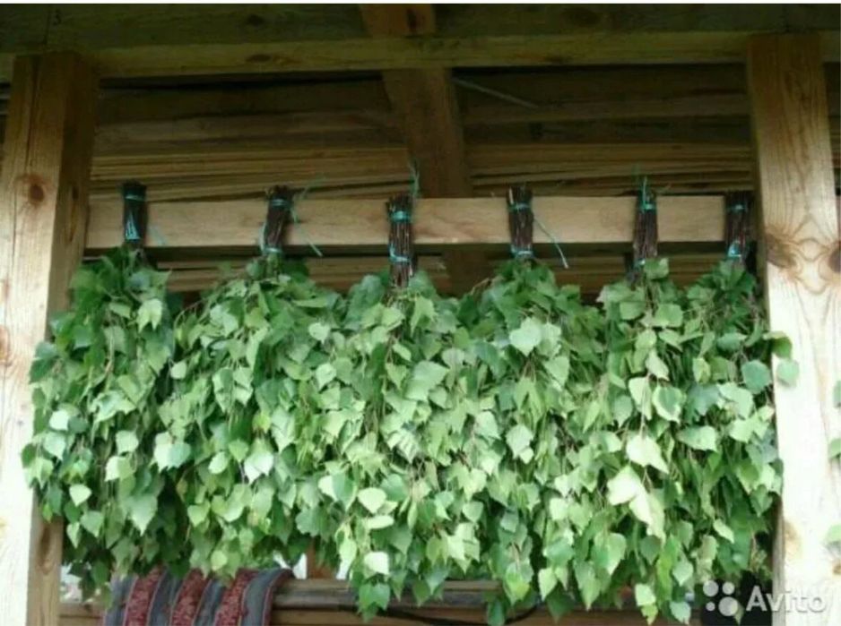 Веники березовые для бани