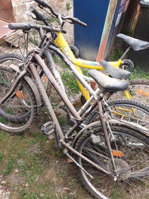 Vând trei biciclete