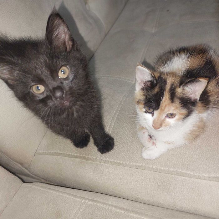 Катенка, 1;5 месяцев