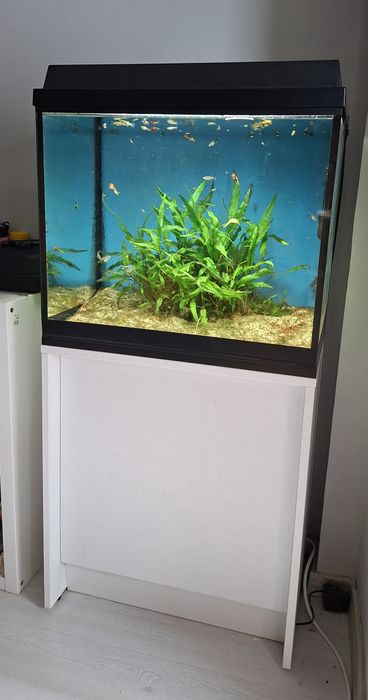Acvariu 120 litri