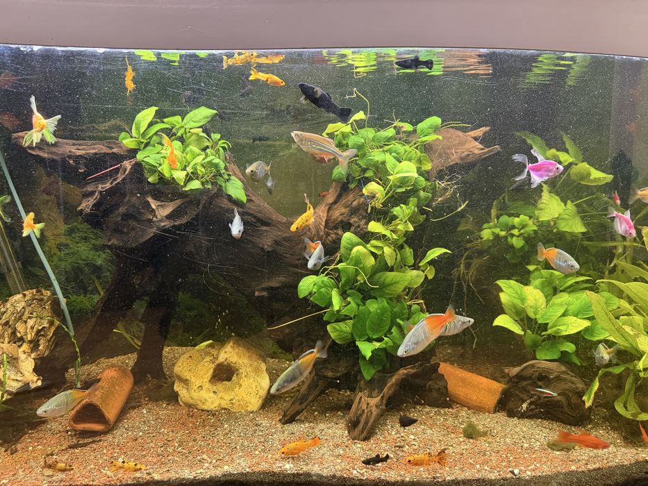 Acvariu 280 litri