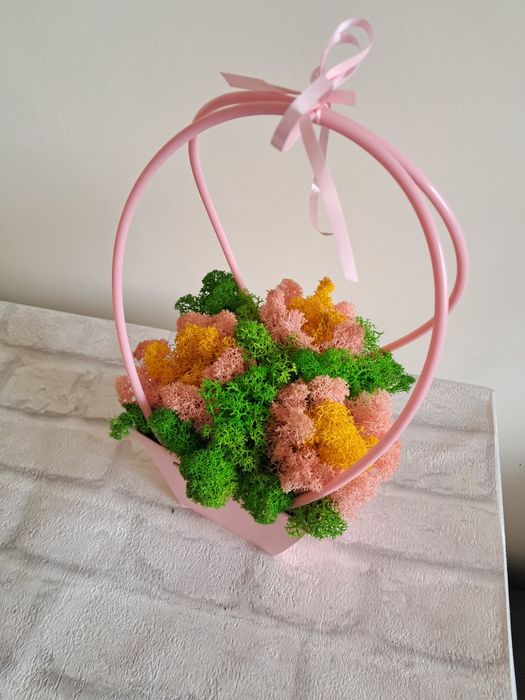 Кошнички със скандинавски мъх