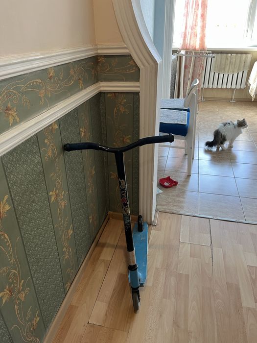 Самокат трюковой