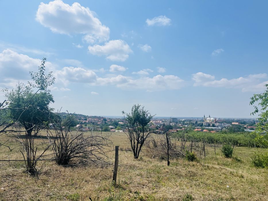 Teren de vânzare Caișilor