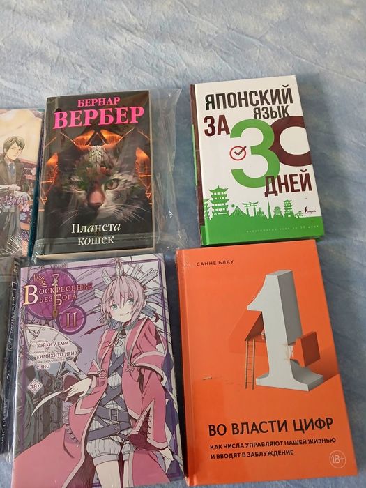 Книги , манга , бездомный бог , словарь