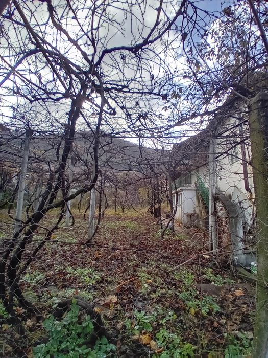 Продава се Къща в Петрич - 1700 кв.м за 39 €/кв.м - Снимка #2