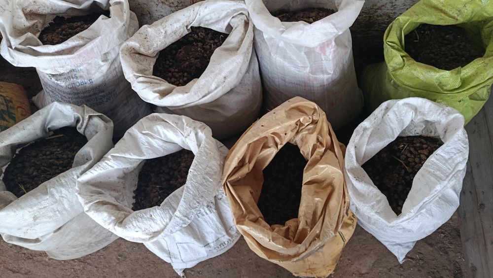 Куй гунги сотилади