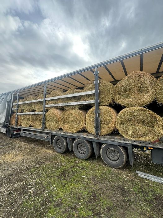 Baloti fan sau lucerna Rotunzi 40.Drept.500;Castan.Aluni Nuc.Cires.Tei