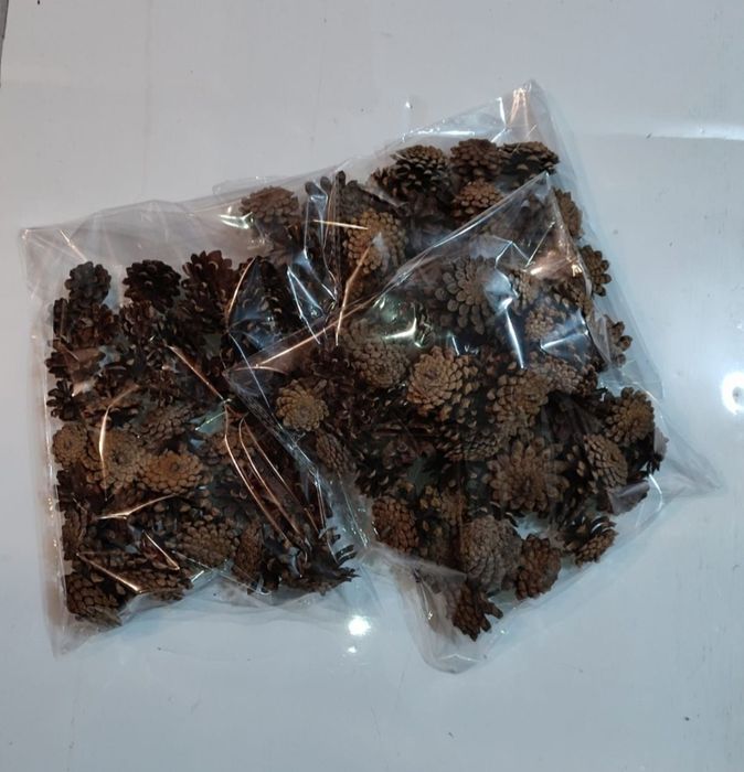 Продам Шишки сосновые