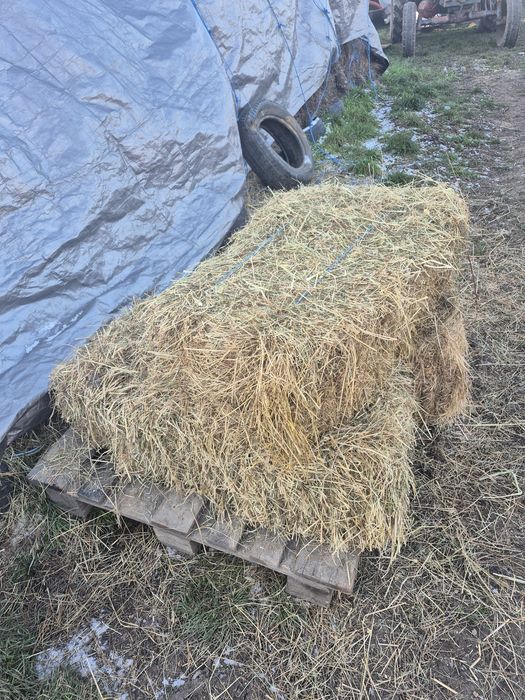 Vând baloți de fân