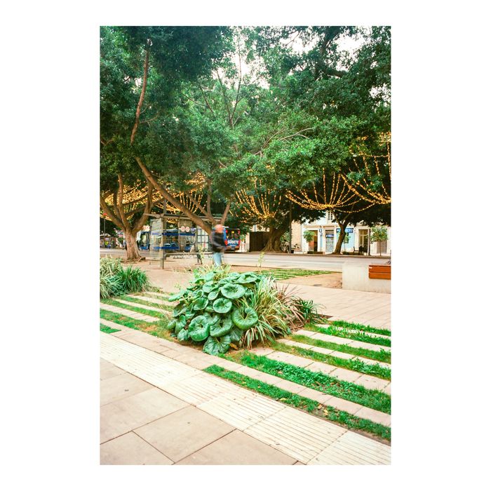 Leica Elmarit M 28mm lens