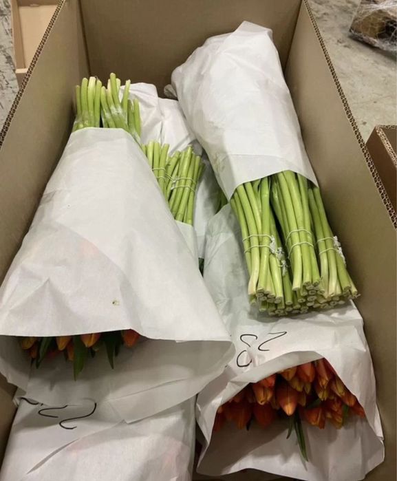 Розы тюльпаны букеты