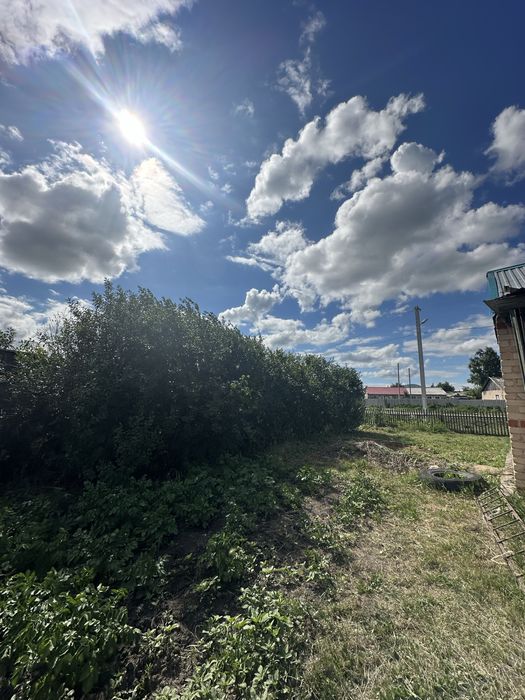 Дом, село Пресновка