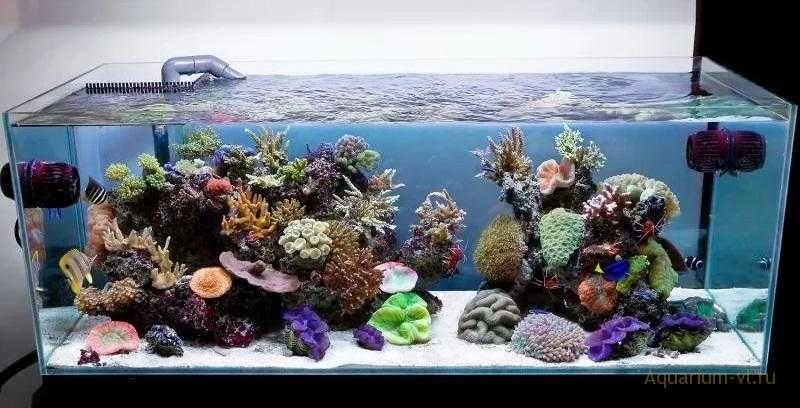 ОБСЛУЖИВАНИЕ морских аквариумов AquaStore